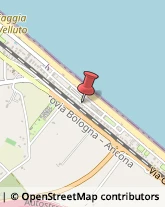 Legname da Costruzione Senigallia,60019Ancona