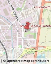 Agenzie di Vigilanza e Sorveglianza Livorno,57121Livorno