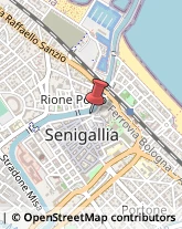 Giornalai Senigallia,60019Ancona