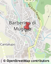 Tecnologia Alimentare - Studi e Consulenza Barberino di Mugello,50031Firenze