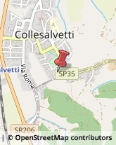 Laboratori di Analisi Cliniche Collesalvetti,57014Livorno