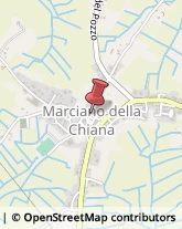 Gioiellerie e Oreficerie - Dettaglio Marciano della Chiana,52047Arezzo