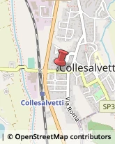 Assicurazioni Collesalvetti,57014Livorno