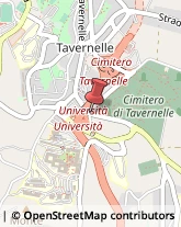 Pavimenti in Legno Ancona,60128Ancona