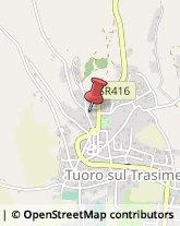 ,81100Perugia