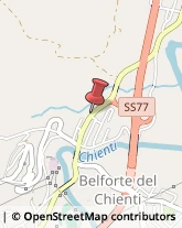 Piante e Fiori - Dettaglio Belforte del Chienti,62020Macerata