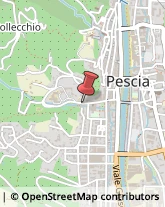 Figurinisti - Scuole Pescia,51017Pistoia