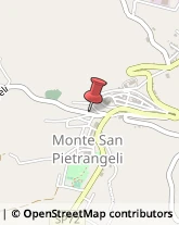 Vivai Piante e Fiori Monte San Pietrangeli,63815Fermo
