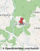 ,55023Lucca