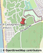 Campeggi, Villaggi Turistici e Ostelli,57022Livorno