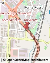 Assicurazioni Ancona,60131Ancona