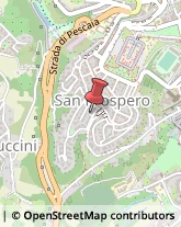 Pedagogia - Studi e Centri Siena,53100Siena