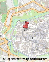 Pasticcerie - Dettaglio Lucca,55100Lucca