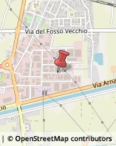 ,56021Pisa