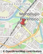 Notai Montelupo Fiorentino,50056Firenze