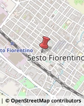 Elaborazione Dati - Servizio Conto Terzi Sesto Fiorentino,50019Firenze