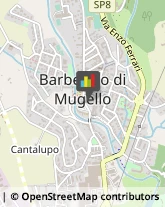 Medicali Articoli - Commercio Barberino di Mugello,50031Firenze