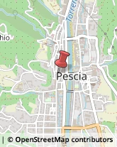 Pasticcerie - Dettaglio Pescia,51017Pistoia
