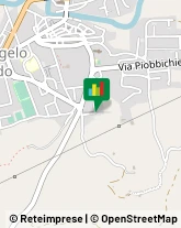 Cereali e Granaglie,61040Pesaro e Urbino
