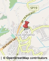 Assicurazioni Lucignano,52046Arezzo