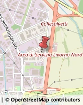 Ospedali - Forniture e Attrezzature Livorno,57121Livorno