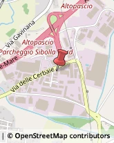 Consulenza del Lavoro Altopascio,55011Lucca