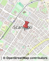 Agenzie di Stampa Scandicci,50018Firenze