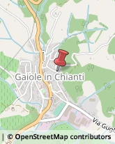 Enoteche Gaiole in Chianti,53013Siena