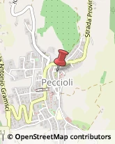 Macellerie Peccioli,56037Pisa