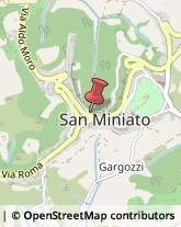 Associazioni e Federazioni Sportive San Miniato,56028Pisa