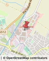 Farine Alimentari San Giuliano Terme,56017Pisa