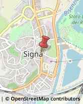 Agenzie di Vigilanza e Sorveglianza Signa,50058Firenze