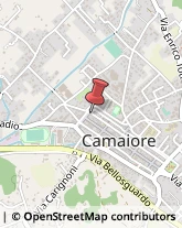 Amministrazioni Immobiliari Camaiore,55041Lucca