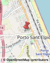 Piante e Fiori - Dettaglio Porto Sant'Elpidio,63821Fermo