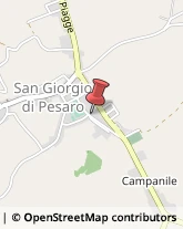 Piante e Fiori - Dettaglio San Giorgio di Pesaro,61030Pesaro e Urbino
