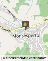 Tipografie Montespertoli,50025Firenze