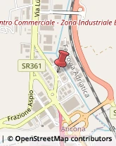 Medicali Articoli - Commercio Ancona,60131Ancona