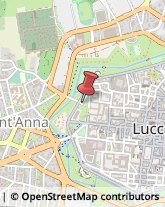 ,55100Lucca