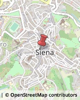 Università ed Istituti Superiori Siena,53100Siena