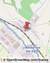 Giardinaggio - Servizio Barberino Val d'Elsa,50021Firenze