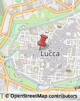 Consulenze Speciali Lucca,55100Lucca