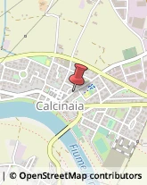 Latta Calcinaia,56012Pisa