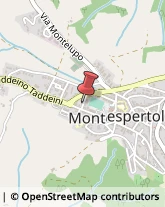 Associazioni Sindacali Montespertoli,50025Firenze