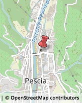 Protezione Civile - Servizi Pescia,51017Pistoia