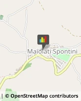 Consulenza Agricoltura e Foresta Maiolati Spontini,60030Ancona