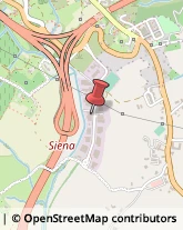 Autotrasporti Siena,53100Siena