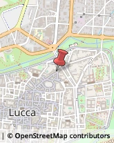 Psicologi Lucca,55100Lucca