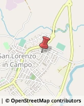 Agenti e Rappresentanti di Commercio San Lorenzo in Campo,61047Pesaro e Urbino