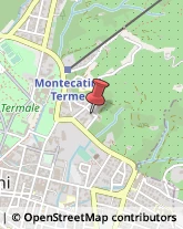 Appartamenti e Residence Montecatini Terme,51016Pistoia