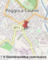 Osteopatia Poggio a Caiano,59016Prato